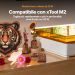 Modulo laser da 20 W compatibile con xTool M2